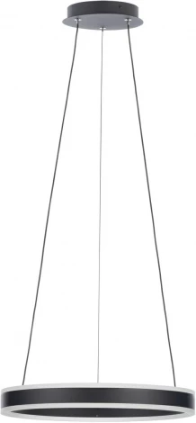 Подвесной светильник Citilux Дуэт CL719401 (регулировка яркости, LED, 220V, на тросе, кольцо)