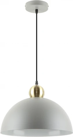 Подвесной светильник Arte Lamp Recinto A7053SP-1GY