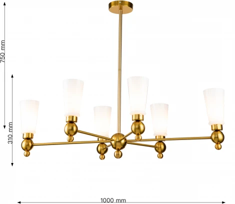 Потолочная люстра Favourite Nimbus 2996-6P