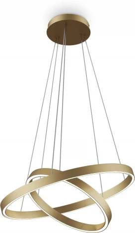 Подвесной светильник Maytoni Rim MOD058PL-L55BSK (LED, 220V, на тросе)