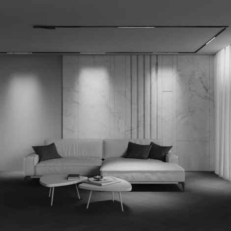 Трековый светильник низковольтный светодиодный 48V 12W 3000K Maytoni Technical Points TR241-2-12W3K-B