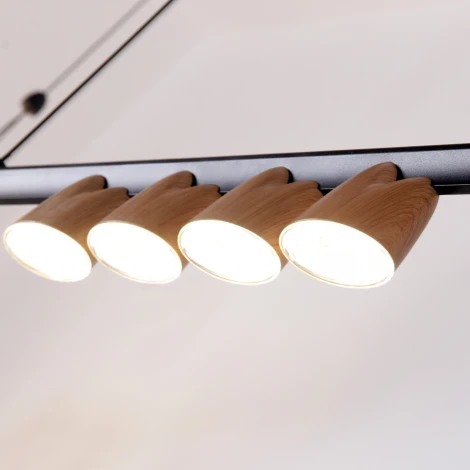 Подвесной светильник Favourite Interline 4266-10P (LED, 220V, на проводе)