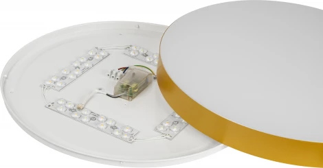 Потолочный светильник круглый светодиодный с пультом и регулировкой цветовой температуры ЭРА Relict 48 Pult SPB-6-60-RC MG (220V, круглые)