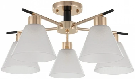 Потолочная люстра на штанге Arte Milano Napoli 322119/5 FG+BK (220V)