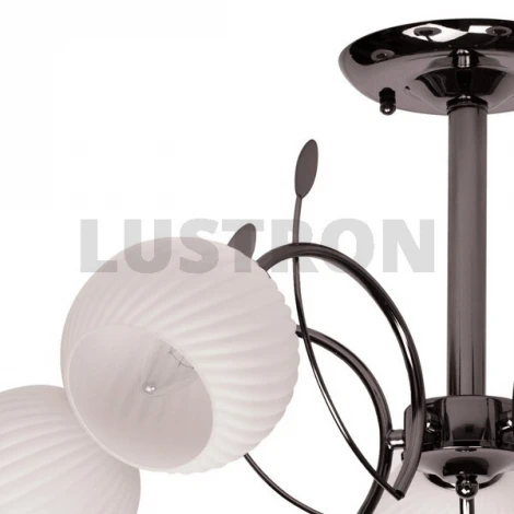 Потолочная люстра MW-Light Грация 358014405