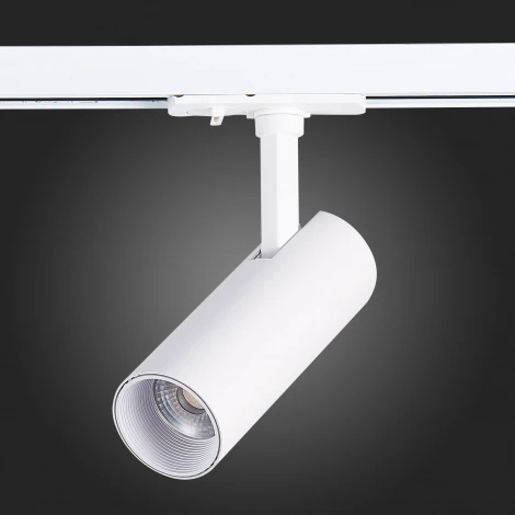 Трековый светильник ST Luce Mono ST350.546.10.36 (LED, 220V, круглые, IP22)