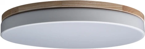 Потолочный светильник круглый Loft IT Axel 10001/36 White (LED, 220V, круглые)