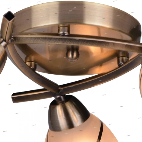 Потолочная люстра Toplight Polly TL3720X-03AB