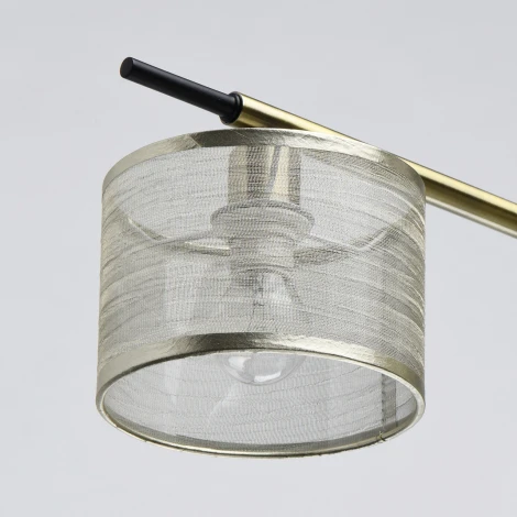 Потолочная люстра MW-Light Лацио 103013005