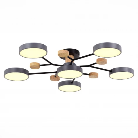 Потолочная люстра на штанге Evoluce Faema SLE6006-702-06