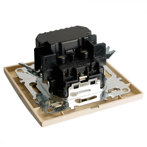 Розетка с заземлением и USB Type A+С (слоновая кость) Stekker Эрна 50077