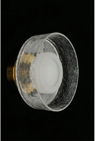 Настенный светильник LED Aployt Eloiza APL.341.21.06 (220V, круглые)