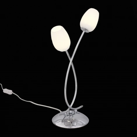 Интерьерная настольная лампа ST Luce Luna SL478.104.02