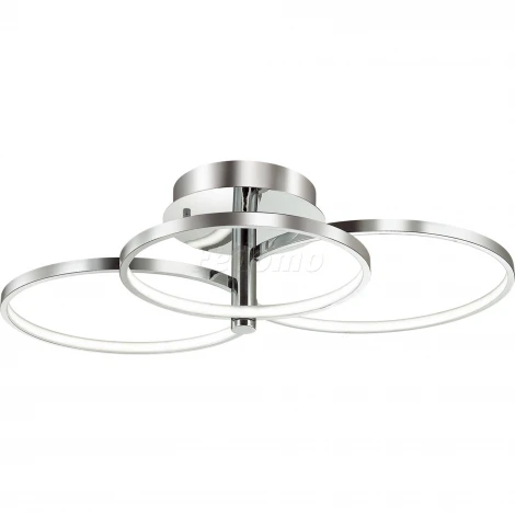 Потолочная люстра Odeon Light Ringgi 3970/76L