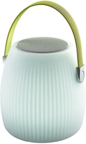 Интерьерная настольная лампа Favourite Speaker 2128-1T