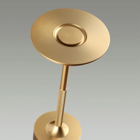 Настольная лампа с аккумулятором Odeon Light 5033/6TL золото матовое/металл/акрил LED 6W 3000K-5700K 300Лм Tet-A-Tet