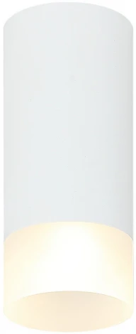 Точечный светильник накладной Imex Leon IL.0005.4800 WH (220V, круглые)