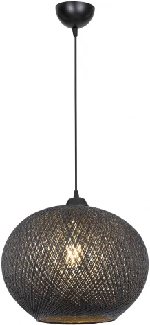 Подвесной светильник TopLight Lizbeth TL1612H-01BK