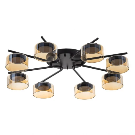 Потолочная люстра Citilux Espace CL243181