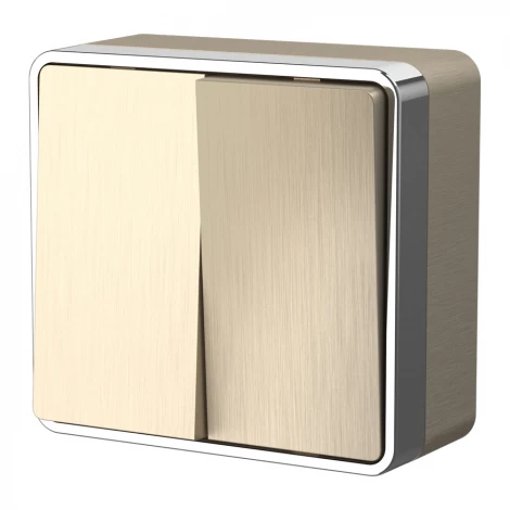 Выключатель двухклавишный Gallant (шампань рифленый) Werkel W5020010 (a051044)