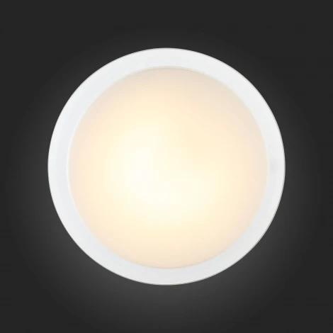Настенно-потолочный светильник ST Luce Botone SL466.512.01
