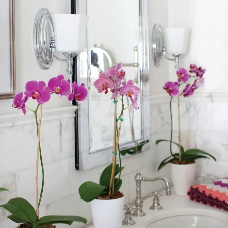 Бра Shelly HK-SHELLY1-BATH Hinkley