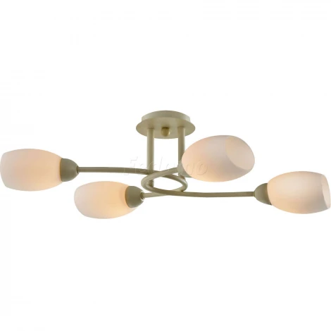 Потолочная люстра Toscom Grums TC-300-504