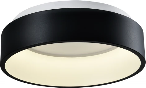 Потолочный светильник Moderli Piero V2283-CL