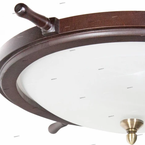 Настенно-потолочный светильник Дубравия Штурвал 185-53-13/1