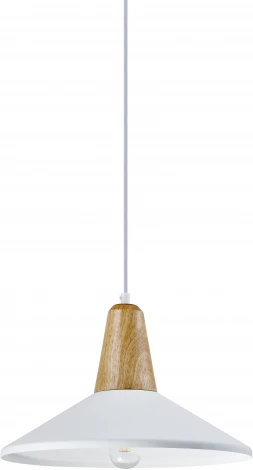 Подвесной светильник Moderli Luce V1571-1P