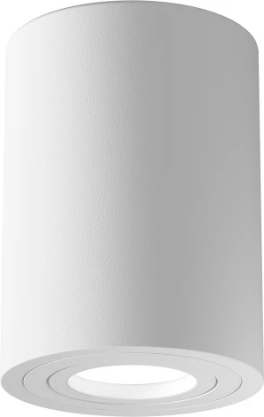 Накладной потолочный светильник Atom GU10 1x50Вт Maytoni Technical C016CL-01W (220V)