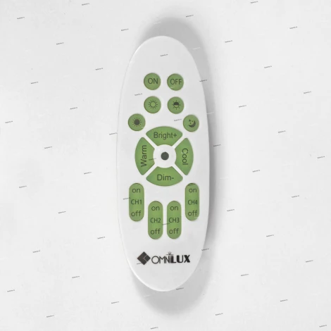 Потолочный светильник Omnilux Orion OML-43107-60