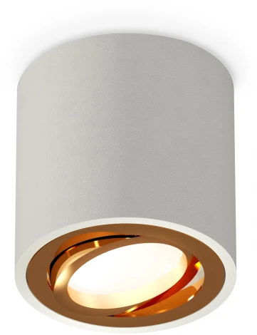 Накладной точечный светильник Ambrella Techno Spot XS7533004 (220V, круглые)