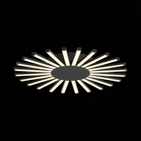 Потолочная люстра ST Luce Paralleli SL839.412.24