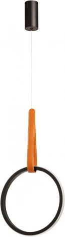 Подвесной светильник DeMarkt Ральф 675015901 (LED, 220V, на проводе, кольцо)