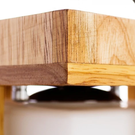 Потолочный светильник Arte Lamp Woods A8252PL-1BR