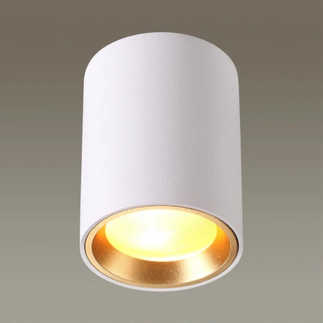 Накладной точечный светильник Odeon Light Aquana 4206/1C (220V, круглые, IP54)