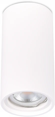 Светильник потолочный ST155 Gipsum ST155.502.01 ST Luce (220V, круглые)