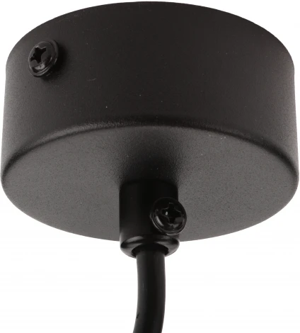 Подвесной светильник Ritter Arton 59981 4