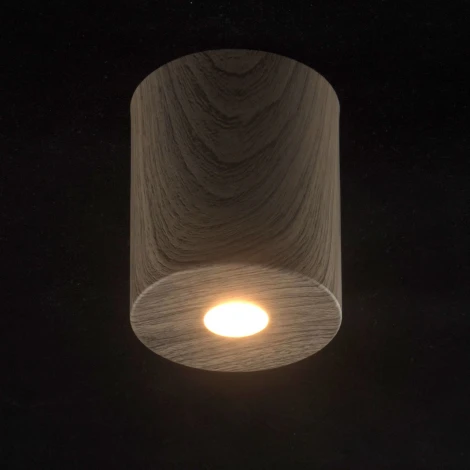 Потолочный светильник круглый DeMarkt Иланг 712010301 (LED, 220V)