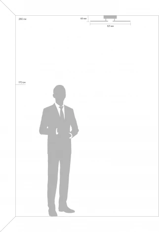 Потолочная люстра Freya Radane FR10020CL-L70W