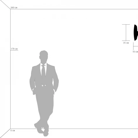 Настенный светильник Lightstar Dissimo 803600 (220V)