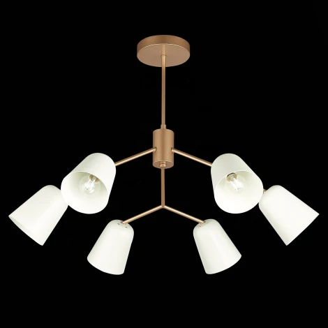 Потолочная люстра на штанге Evoluce Mario SLE155902-06 (220V)