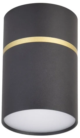 Точечный светильник накладной Favourite Dunia 3068-1C (220V, круглые)