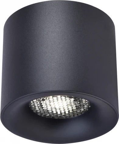 Светильник потолочный ST Luce ST761.433.10 черный LED 1*10W 3000K (220V, круглые)