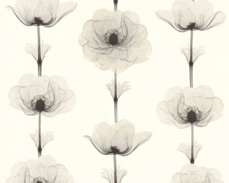 Обои виниловые A.S. Creation X-Ray 34273-4 10,05 x 0,53 м