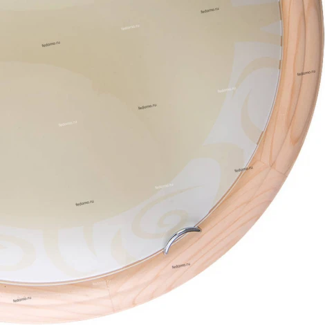 Настенно-потолочный светильник Toplight Ginger TL9620Y-00PN