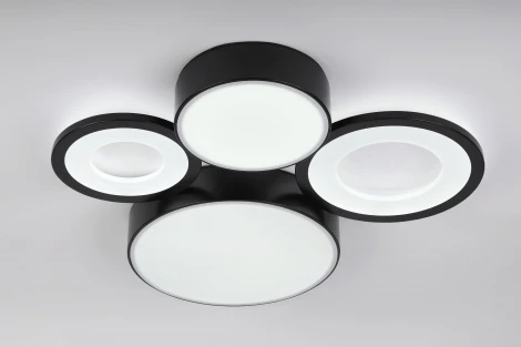 Потолочный светильник светодиодный с пультом регулировкой цветовой температуры и яркости Rivoli Aliona 6161-701