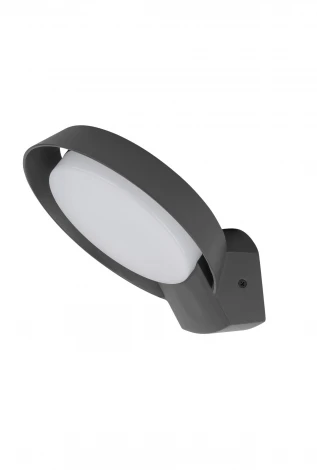 Настенный светильник уличный светодиодный Oasis Light MERIDIAN W2057-3K Gr (220V, IP54)