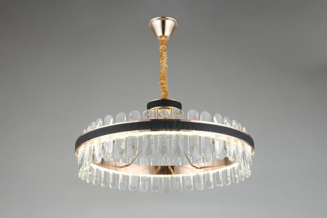 Подвесная люстра Aployt Honori APL.027.03.102 (LED, 220V, на цепи, кольцо)